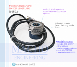 RHI593-อัลบั้มรูป